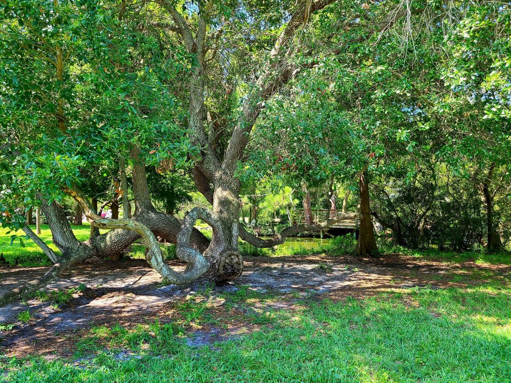 C MCGOUGH NATURE PARK 172 Photos & 33 Reviews 11901 146th St