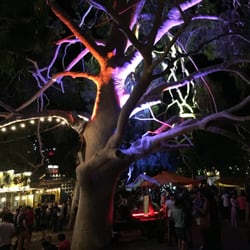 The Garden of Unearthly Delights