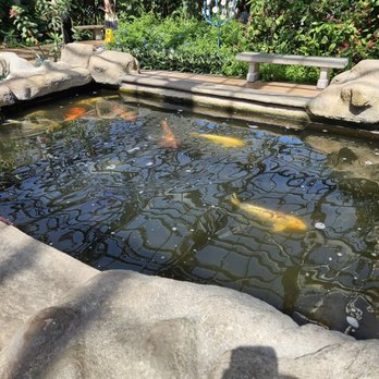 Butterfly Wonderland - Botanical Gardens Near Me - Scottsdale, Arizona