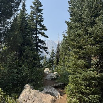 Jenny Lake - Lakes Near Me