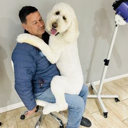 Affordable Pet Grooming