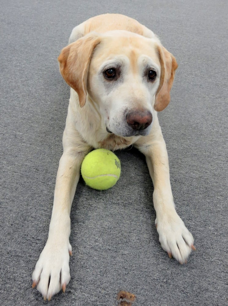 CUTTER MARINA Marinas 1900 Old Eastern Ave, Essex, MD Phone Number Yelp