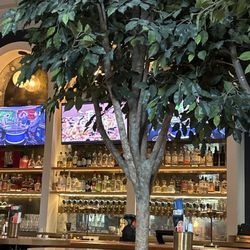 Brass Fish Tavern