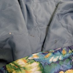Amelia's Landing Hotel - Cigarettes burns, stains on bedding