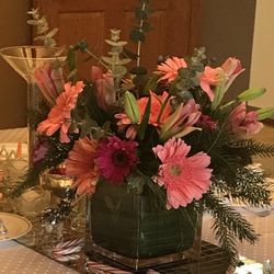 Arr. of Ferber daisy, orchids,