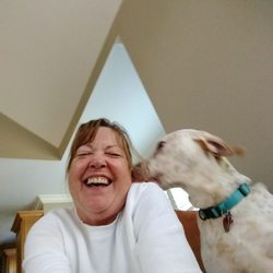 Your Pets' Pal Pet Sitting