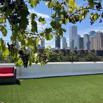 Rooftop Reds - Wineries Near Me - Brooklyn, New York