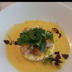 Les Papilles - St Jacques et son risotto