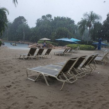 Discovery Cove - Amusement Parks Near Me - Orlando, Florida
