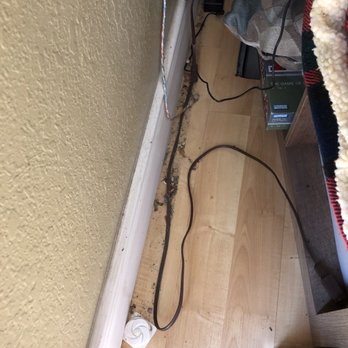 Tri Maids - Not vacuumed at all. And the rug is at my entry. - Home Cleaning Near Me - Sparks, Nevada Tri Maids - Not vacuumed at all. And the rug is at my entry. - Home Cleaning Near Me - Sparks, Nevada