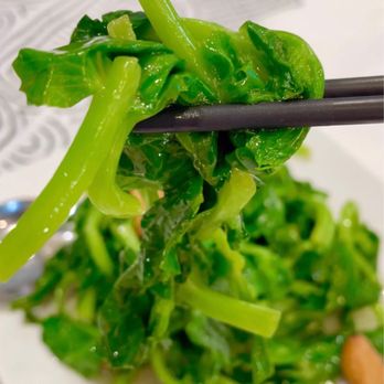 Yan Peninsula - Pea Sprouts w/ Garlic - Seafood Near Me - Millbrae, California Yan Peninsula - Pea Sprouts w/ Garlic - Seafood Near Me - Millbrae, California