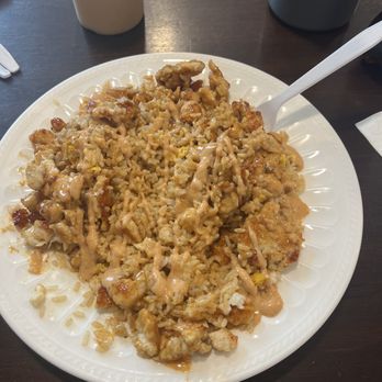 Tasty Ramen - Chicken hibachi fried rice - Ramen Near Me - Wesley Chapel, Florida Tasty Ramen - Chicken hibachi fried rice - Ramen Near Me - Wesley Chapel, Florida