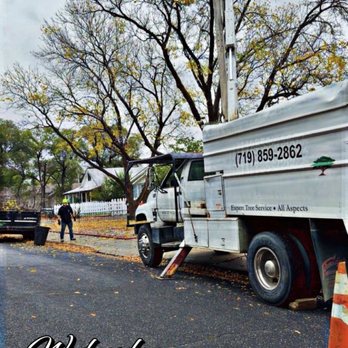JQ Services - Tree Services Near Me - Trinidad, Colorado