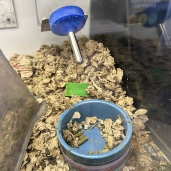 Petco - Pet Stores Near Me - Anaheim, California