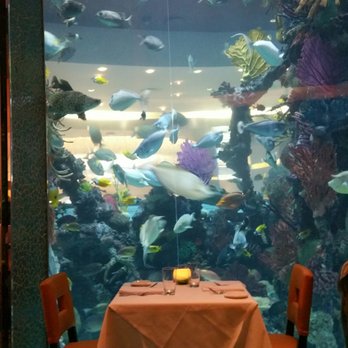 Chart House - Nice aquarium full of exotic looking fish. - Seafood Near Me - Las Vegas, Nevada Chart House - Nice aquarium full of exotic looking fish. - Seafood Near Me - Las Vegas, Nevada
