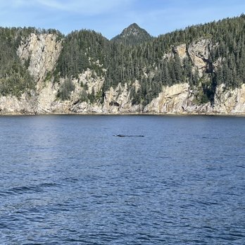 Kenai Fjords Tours - Boat Tours Near Me - Seward, Alaska