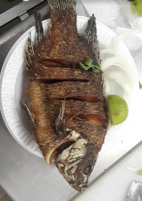 Frying Seafood by null