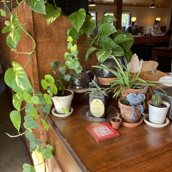 Pinewood Coffee Bar - Coffee & Tea Near Me - Waco, Texas Pinewood Coffee Bar - Coffee & Tea Near Me - Waco, Texas