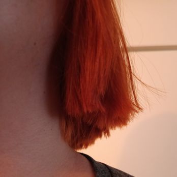 Feverfew - Eagle Rock - My haircut from Kylie, the result of their unprofessionalism. - Hair Stylists Near Me - Eagle Rock, California Feverfew - Eagle Rock - My haircut from Kylie, the result of their unprofessionalism. - Hair Stylists Near Me - Eagle Rock, California