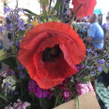 River Market - Pretty flowers - Local Flavor Near Me River Market - Pretty flowers - Local Flavor Near Me