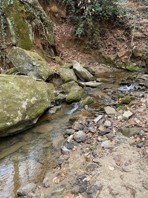 Cascade Springs Nature Preserve by null