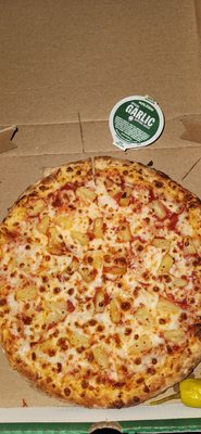 Papa Johns Pizza by null