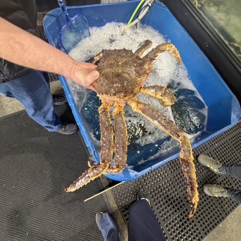 Seattle Seafood Center - Live King Crab - Seafood Markets Near Me - Seattle, Washington Seattle Seafood Center - Live King Crab - Seafood Markets Near Me - Seattle, Washington