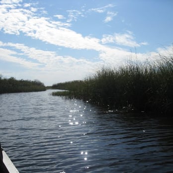 gator park - everglades - Boat Tours Near Me - Miami, Florida