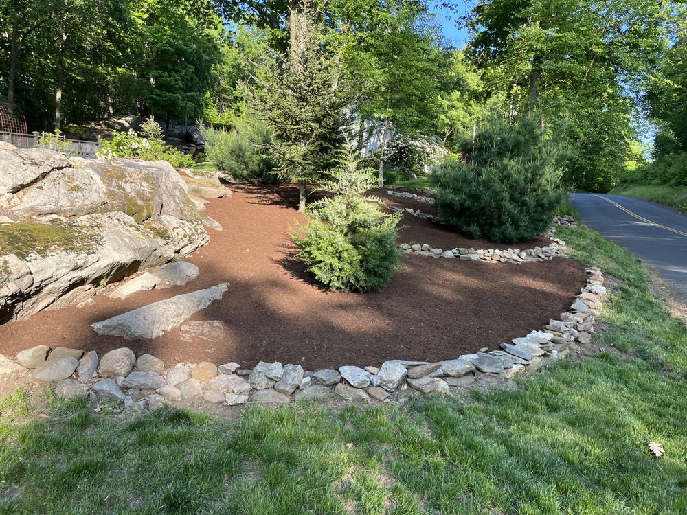 Yard Maintenance - tree service in Portland, CT