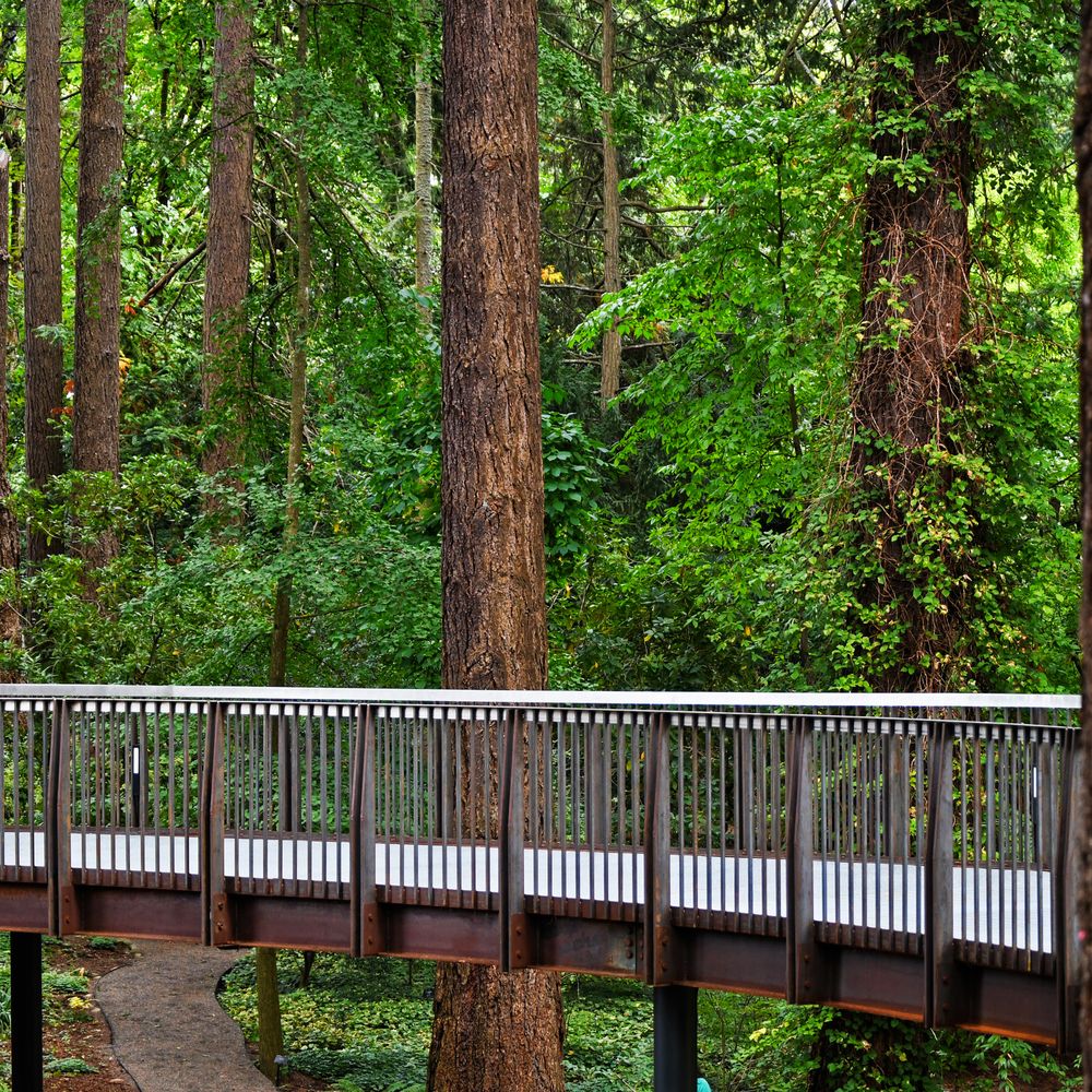Leach Botanical Garden - The raised walkway over the hillside has a sturdy metal grating that provides traction and drainage. - Botanical Gardens Near Me - Portland, Oregon