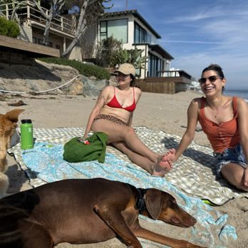 Dominant Dogs Training - We couldn't be happier to have dogs we can take anywhere thanks to Leonard! - Pet Training Near Me Dominant Dogs Training - We couldn't be happier to have dogs we can take anywhere thanks to Leonard! - Pet Training Near Me