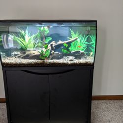 Aquarium Adventure Columbus