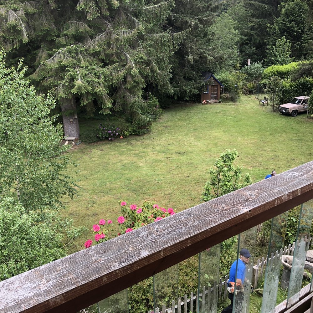 Lawn-Believable - Back yard - Lawn Services Near Me Lawn-Believable - Back yard - Lawn Services Near Me