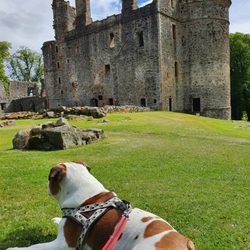 Huntly Castle