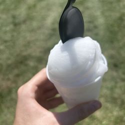 Polish American Festival & County Fair - Coconut water ice