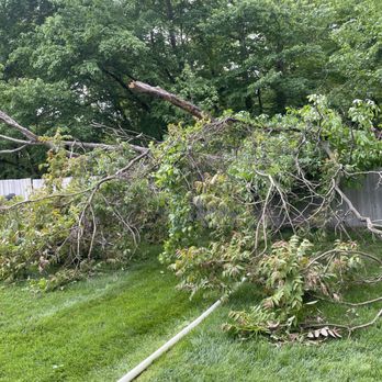 Escobar's Lawn Services - Before pictures of two fallen trees during a thunderstorm. - Lawn Services Near Me Escobar's Lawn Services - Before pictures of two fallen trees during a thunderstorm. - Lawn Services Near Me