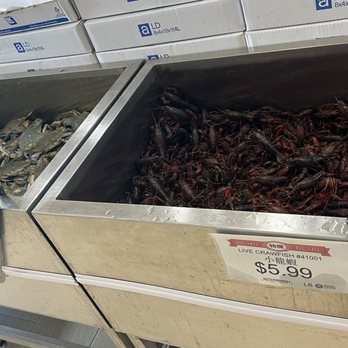King Lobster & Seafood - Blue crabs, crawfish - Seafood Near Me - Plano, Texas