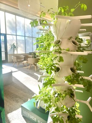 Element Scottsdale at SkySong by null