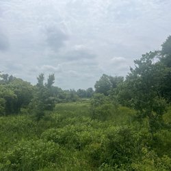 View of the marsh from the observation deck