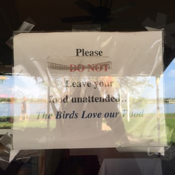 Wright Bros Cafe & Grille - Birds love their food - Cafes Near Me - Honolulu, Hawaii Wright Bros Cafe & Grille - Birds love their food - Cafes Near Me - Honolulu, Hawaii
