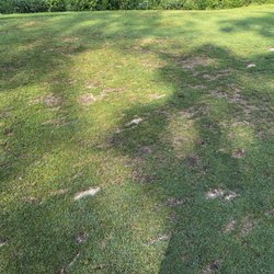 Wallinwood Springs Golf Club - Tee box