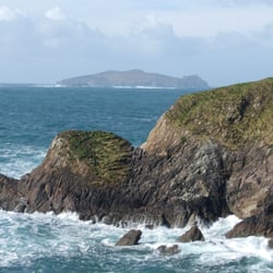 Wildkerry Daytours