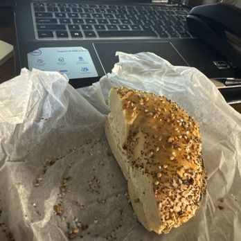Maspeth Bagel and Sandwich Shop - Everything bagel with bacon scallion cream cheese - Breakfast & Brunch Near Me - Maspeth, New York Maspeth Bagel and Sandwich Shop - Everything bagel with bacon scallion cream cheese - Breakfast & Brunch Near Me - Maspeth, New York