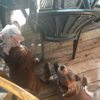Old Town Mexican Cafe - Dog friendly patio! - Mexican Near Me - Key West, Florida