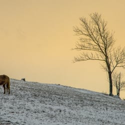 Photography by Stephen Harris