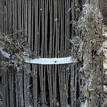 Rebel Pool & Spa - Filters never cleaned by Rebel - Pool Cleaners Near Me Rebel Pool & Spa - Filters never cleaned by Rebel - Pool Cleaners Near Me