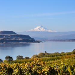 Jacob Williams Winery
