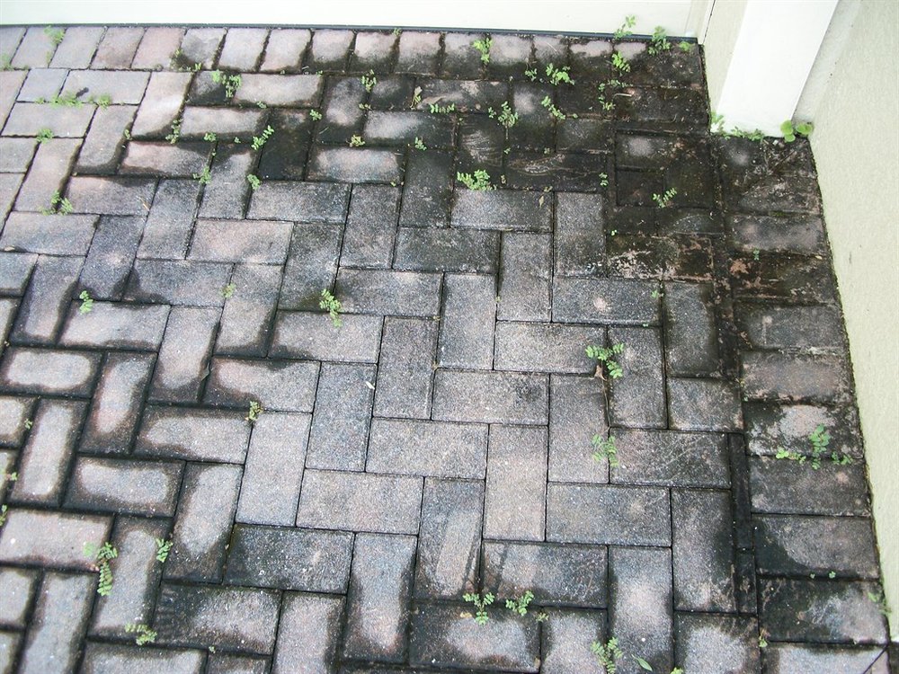 Slide of Mallard Systems