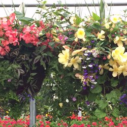 Diamond Greenhouses - Shade Baskets