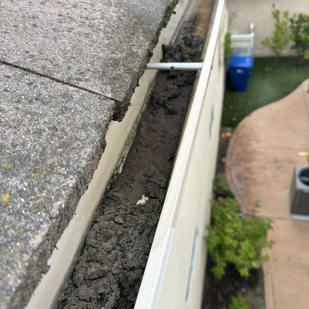 Carmel Valley Pest Control - Pest Control Near Me - San Marcos, California Carmel Valley Pest Control - Pest Control Near Me - San Marcos, California